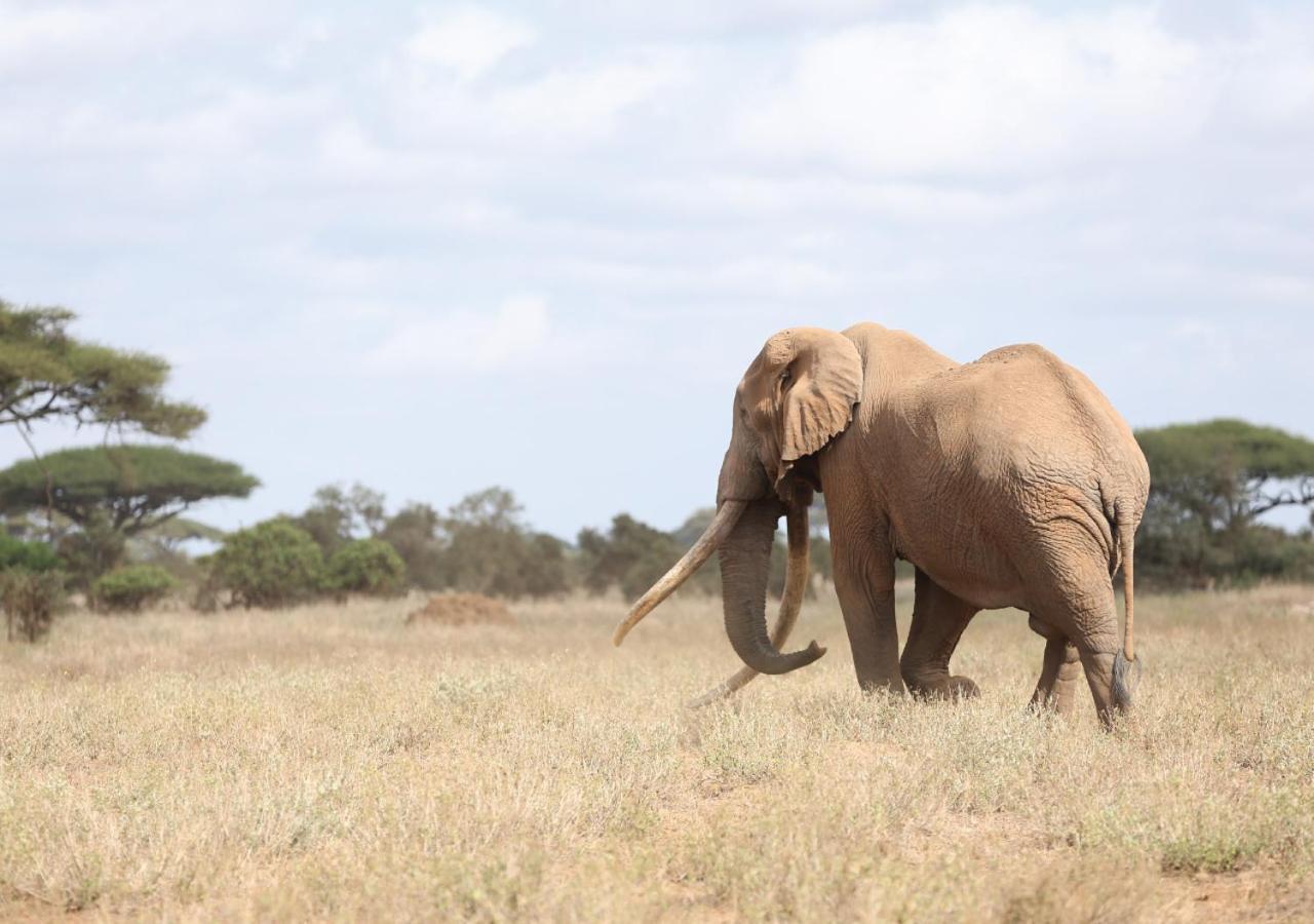 Ol Tukai Lodge Amboseli Exterior foto