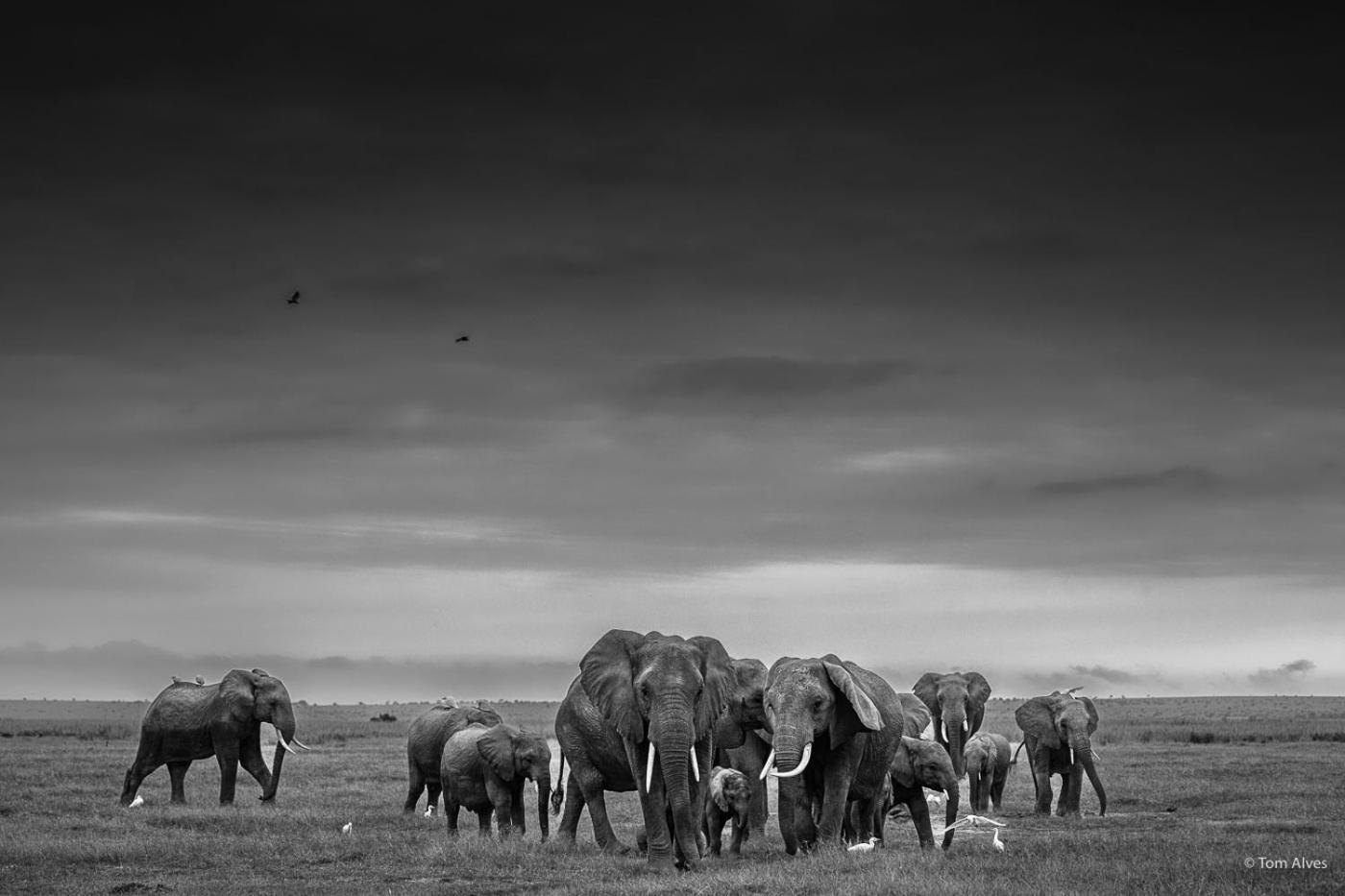 Ol Tukai Lodge Amboseli Exterior foto