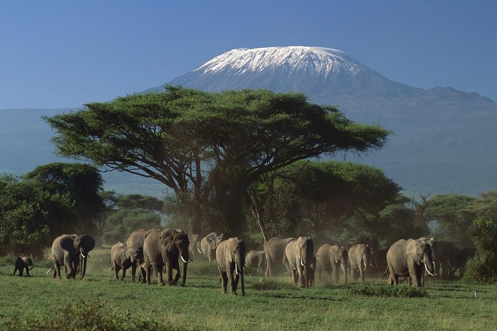 Ol Tukai Lodge Amboseli Exterior foto